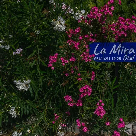 La Mira בית הארחה